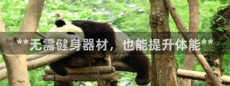 ag尊龙凯时集团