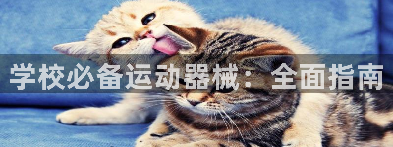 尊龙凯时提现不了