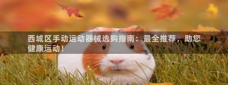 尊龙凯时城游戏官网