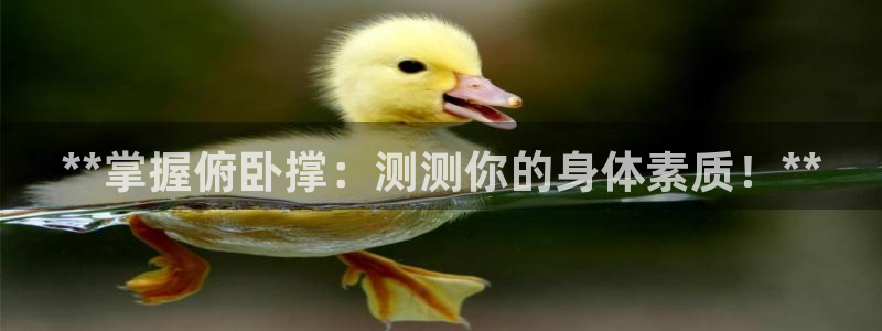 尊龙凯时品牌介绍