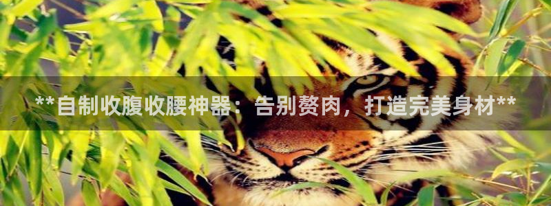 尊龙百度贴吧