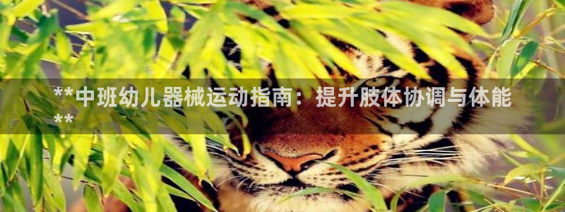 Z6尊龙凯时登录