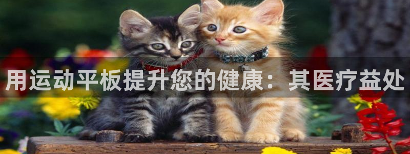 尊龙游戏app官方网站