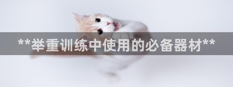 尊龙凯时投诉最狠的方法