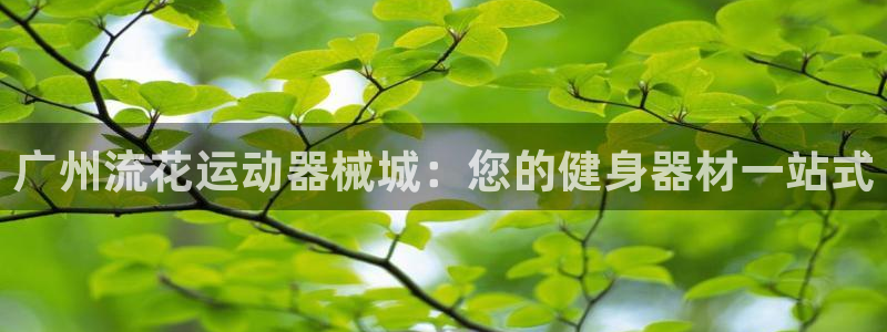 尊龙旗舰店