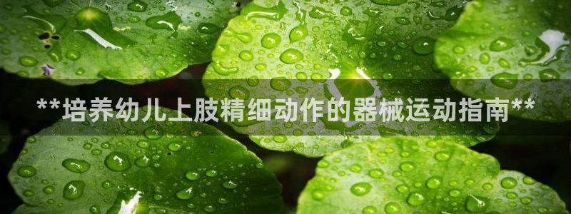 z6com尊龙凯时百家乐