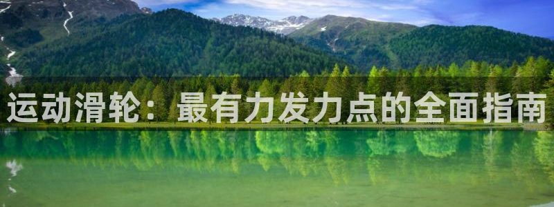 尊龙官网手
