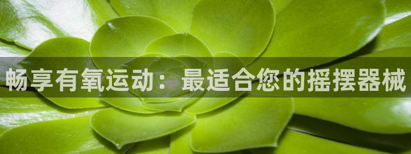 凯时kb88公司简介