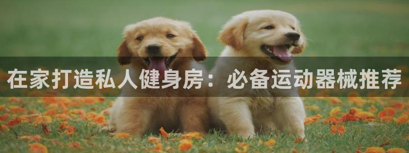 尊龙凯时官网网址