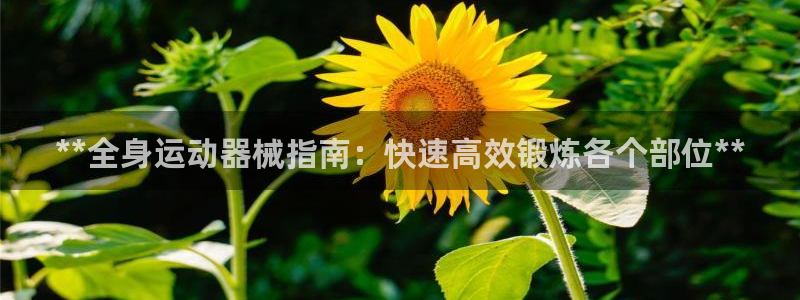 AG尊龙注册在线游戏