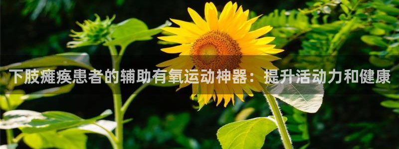 尊龙游戏官网游戏特色