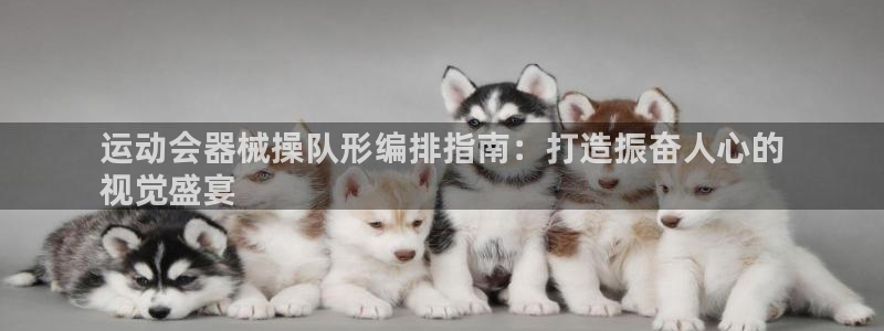 尊龙app下载官网