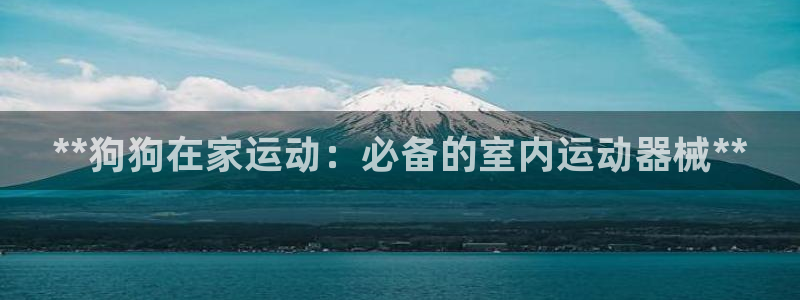 尊龙专访