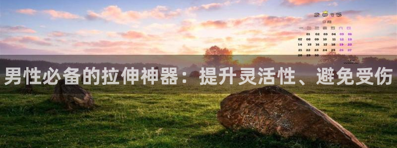 尊龙凯时提不了款：男性必备的拉伸神器：提升灵活性、避