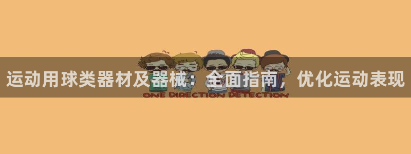 尊龙人生就是博：运动用球类器材及器械：全面指南，优化
