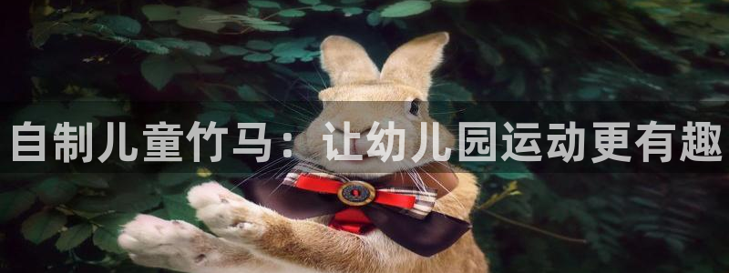 尊龙人生就是博D88：自制儿童竹马：让幼儿园运动更有