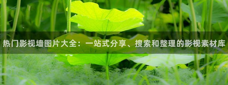 vs影院官网首页：热门影视墙图片大全：一站式分享、搜索和整理的影视素材库