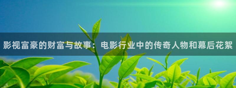vs5支持u盘视频播放吗：影视富豪的财富与故事：电影行业中的传奇人物和幕后花絮