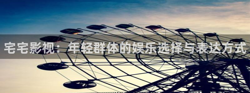 vs影院下载：宅宅影视：年轻群体的娱乐选择与表达方式