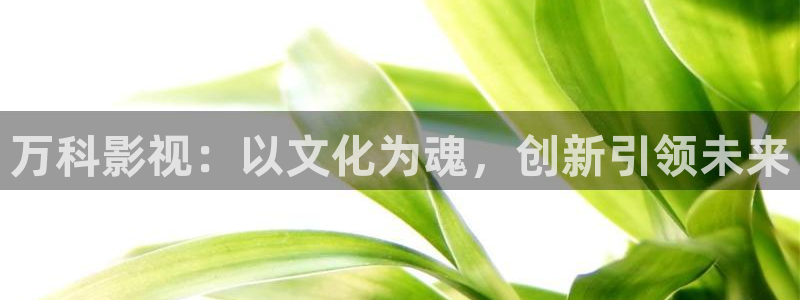一v神马影院：万科影视：以文化为魂，创新引领未来
