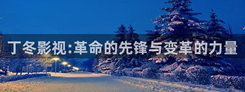 vs影院官网：丁冬影视:革命的先锋与变革的力量