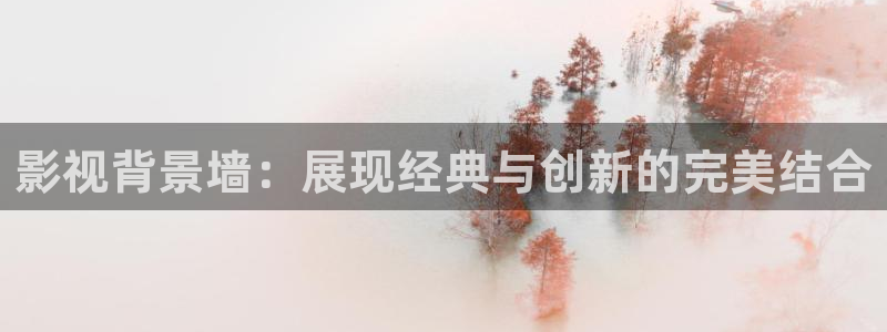 vs影院在线免费观看：影视背景墙：展现经典与创新的完美结合