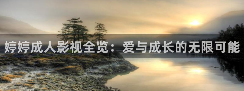 vs影院电视官网：婷婷成人影视全览：爱与成长的无限可能