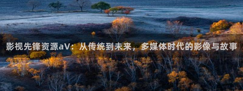 vs影院电视剧：影视先锋资源aV：从传统到未来，多媒体时代的影像与故事
