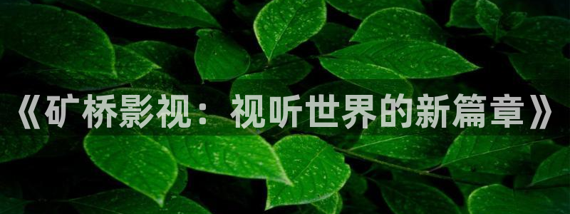 vs影院免费观看电视剧：《矿桥影视：视听世界的新篇章》