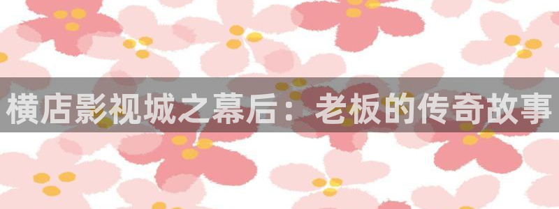 vs影院官网下载：横店影视城之幕后：老板的传奇故事