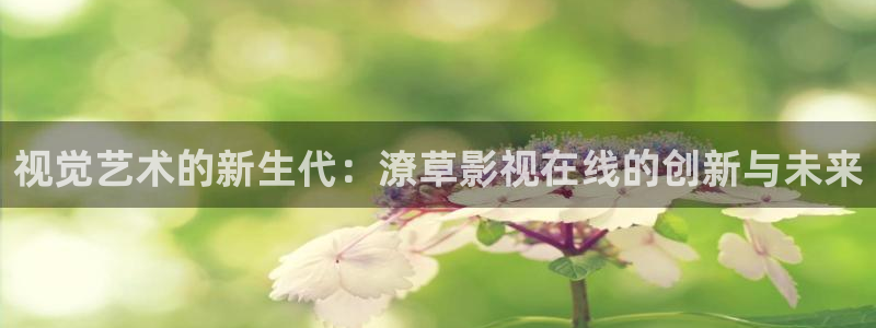 午夜tv神马影院：视觉艺术的新生代：潦草影视在线的创新与未来