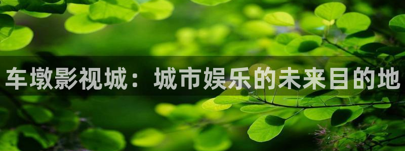 美女与野兽mv视频播放：车墩影视城：城市娱乐的未来目的地