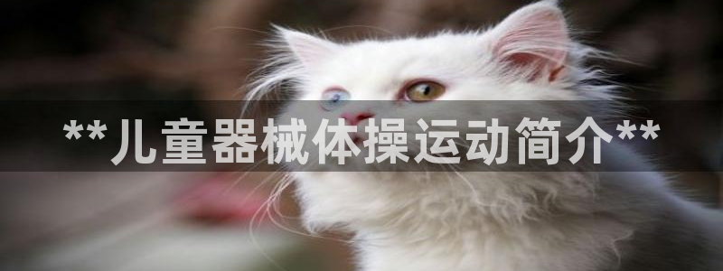 尊龙凯时人生就是搏技术实力：**儿童器械体操运动简介