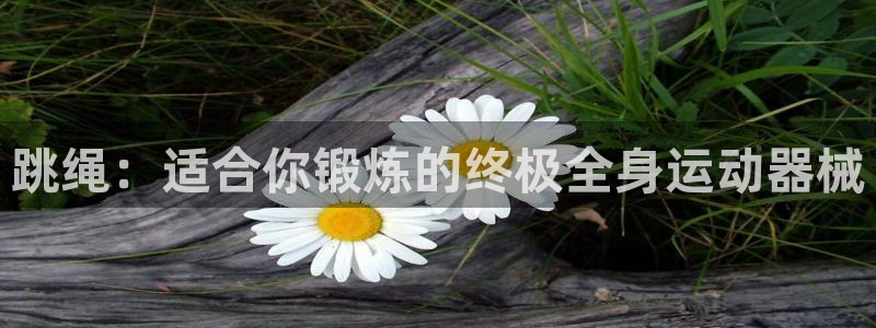 尊龙官方网站最新版V9.3.06介绍：跳绳：适合你锻