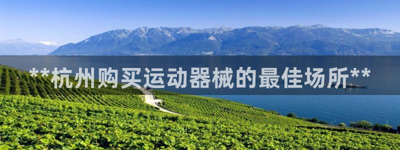 尊龙凯时口碑好吗：**杭州购买运动器械的最佳场所**