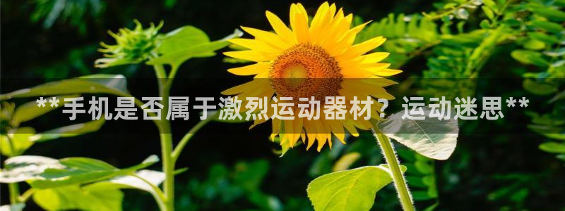 尊龙凯时老板：**手机是否属于激烈运动器材？运动迷思