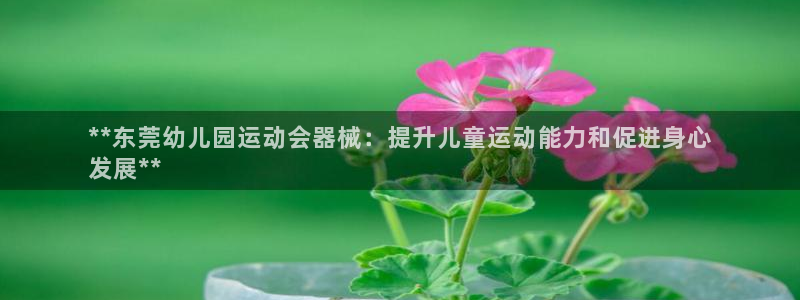 尊龙凯时论坛：**东莞幼儿园运动会器械：提升儿童运动