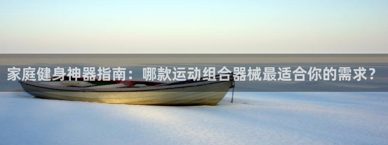 尊龙凯时app官网：家庭健身神器指南：哪款运动组合器