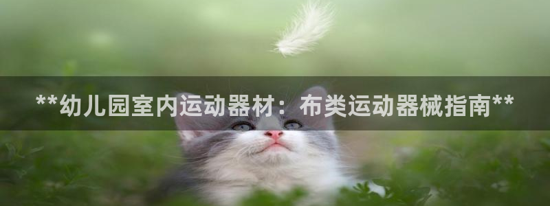 尊龙凯时取款不成功：**幼儿园室内运动器材：布类运动