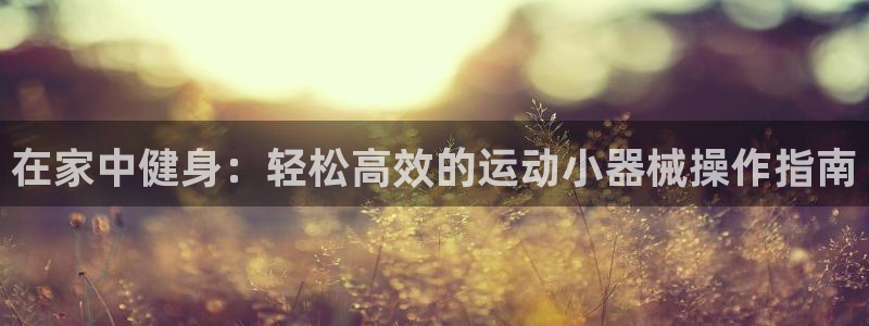 尊龙z6：在家中健身：轻松高效的运动小器械操作指南