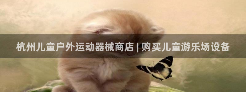 凯时登录：杭州儿童户外运动器械商店 | 购买儿童游乐