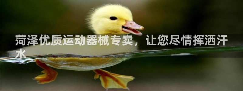 尊龙2020：菏泽优质运动器械专卖，让您尽情挥洒汗
