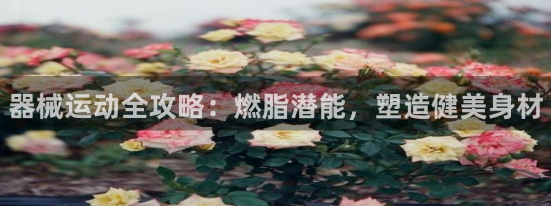 尊龙游戏app官方网站：器械运动全攻略：燃脂潜能，塑