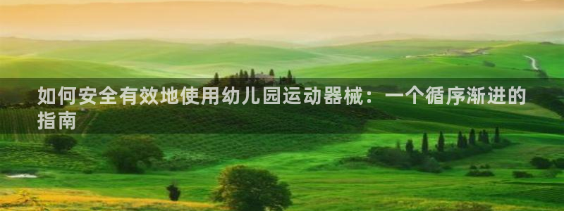 尊龙百度贴吧：如何安全有效地使用幼儿园运动器械：一个