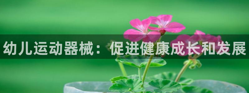 尊龙ag旗舰：幼儿运动器械：促进健康成长和发展