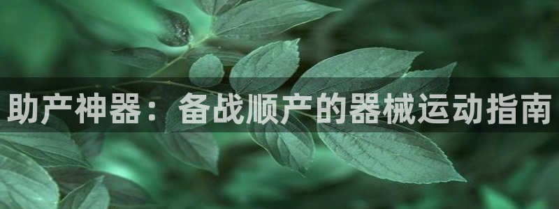 尊龙凯时存款多久到账：助产神器：备战顺产的器械运动指