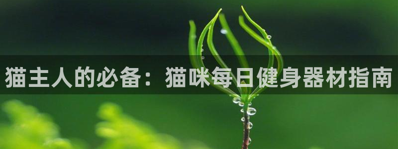 尊龙凯时代理能提出来不：猫主人的必备：猫咪每日健身器