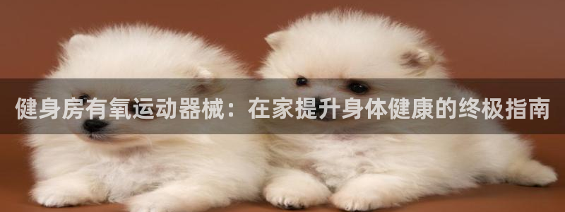 尊龙网站人生就是博：健身房有氧运动器械：在家提升身体