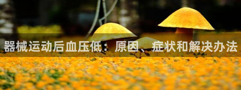 尊龙凯时注册：器械运动后血压低：原因、症状和解决办法