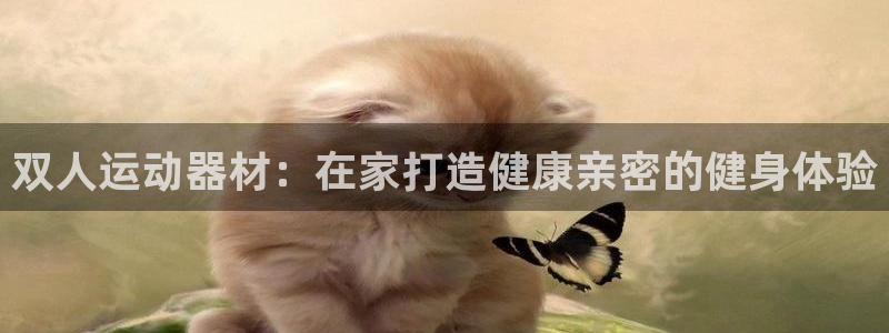 尊龙人生就是博旧版现：双人运动器材：在家打造健康亲密